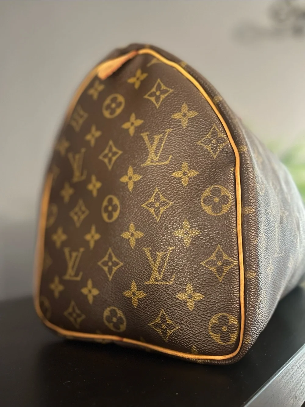 Louis Vuitton iconic louis